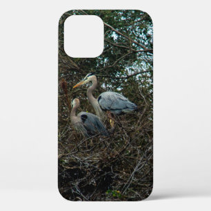 Blue Heron Birds  Case-Mate iPhone Case