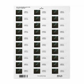 Blue Heron Birds Nest Personaliseer retouradres Etiket (Full Sheet)