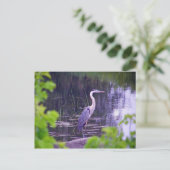 Blue Heron Briefkaart (Staand voorkant)