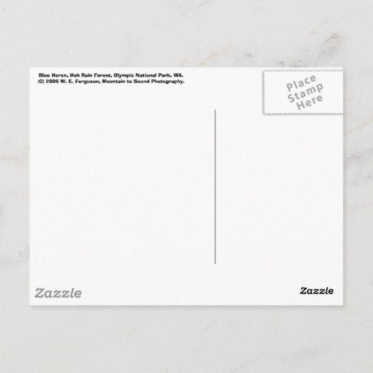 Blue Heron Briefkaart (Achterkant)