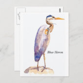 Blue Heron briefkaart (Voorkant / Achterkant)