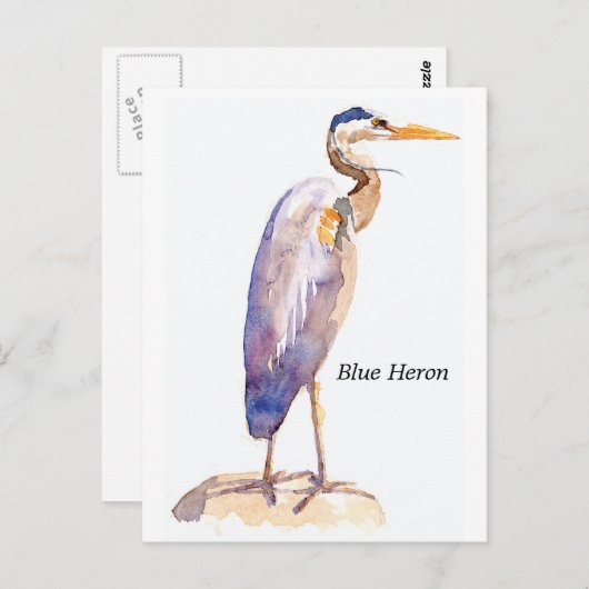 Blue Heron briefkaart (Voorkant / Achterkant)