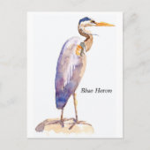 Blue Heron briefkaart (Voorkant)