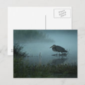 Blue Heron Briefkaart (Voorkant / Achterkant)