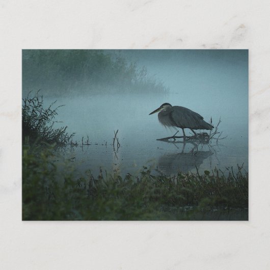 Blue Heron Briefkaart (Voorkant)