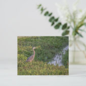 Blue Heron Briefkaart (Staand voorkant)