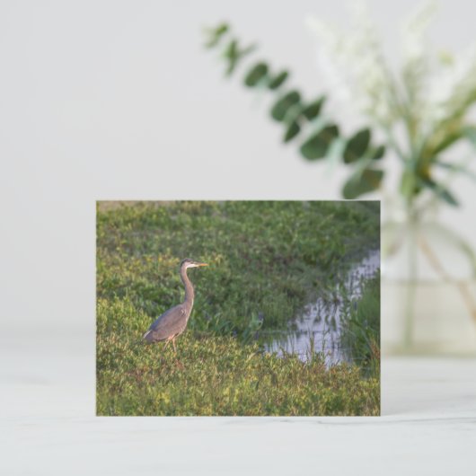Blue Heron Briefkaart (Staand voorkant)