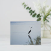 Blue Heron Briefkaart (Staand voorkant)