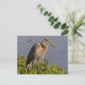 Blue Heron Briefkaart (Staand voorkant)