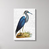 Blue Heron Canvas Afdruk (Voorkant)