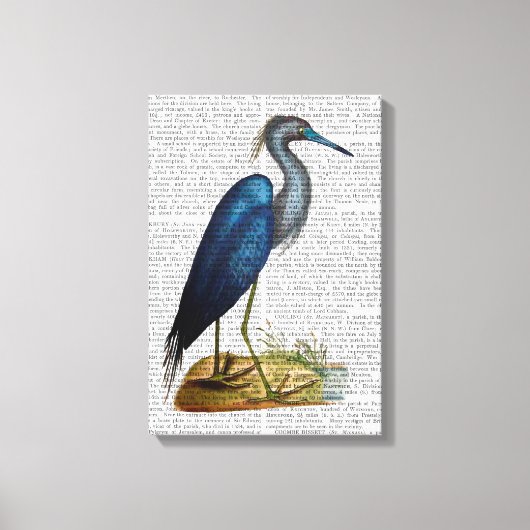 Blue Heron Canvas Afdruk (Voorkant)