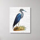 Blue Heron Canvas Afdruk (Voorkant)