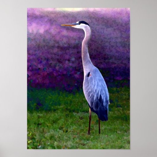 Blue Heron Collectie Poster (Voorkant)