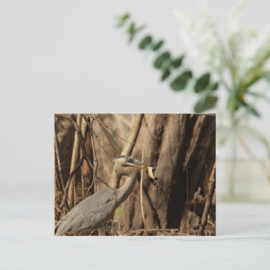 BLUE HERON EATING GATOR BRIEFKAART (Staand voorkant)