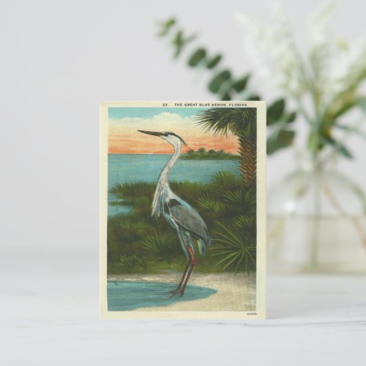 Blue Heron Florida Briefkaart (Staand voorkant)