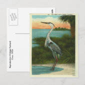  Blue Heron Florida Briefkaart (Voorkant / Achterkant)