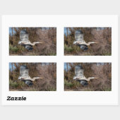 Blue Heron in vlucht Rechthoekige Sticker (Vel)