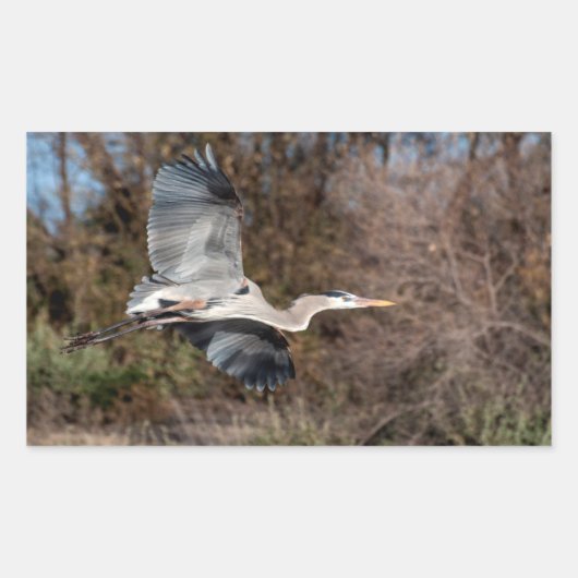 Blue Heron in vlucht Rechthoekige Sticker (Voorkant)