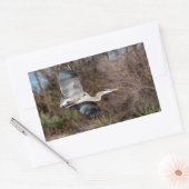 Blue Heron in vlucht Rechthoekige Sticker (Envelop)
