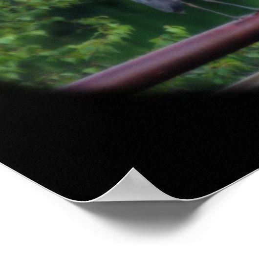 Blue Heron Inspirerend Life Quote Poster (Hoek)