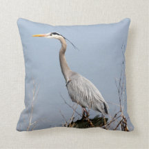 Blue Heron