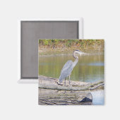Blue Heron magnet (Voorkant / Achterkant)