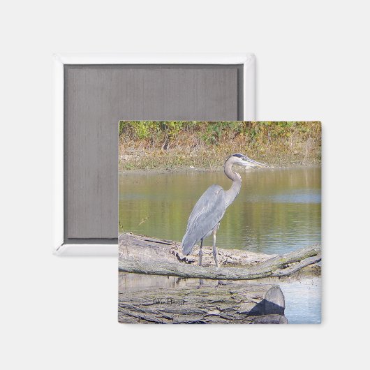 Blue Heron magnet (Voorkant / Achterkant)