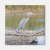 Blue Heron magnet (Voorkant)
