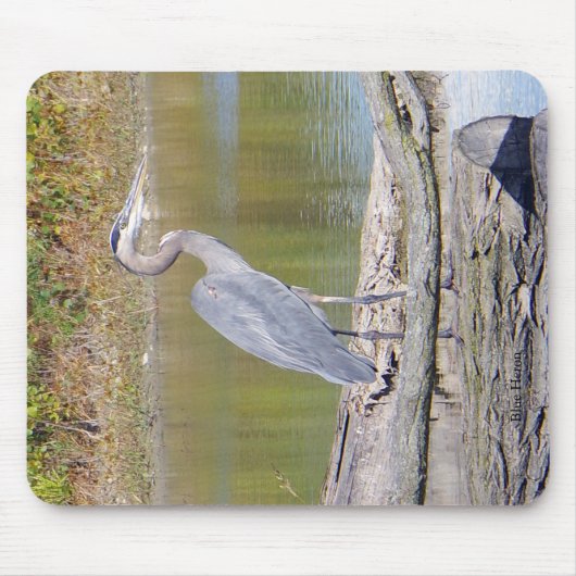 Blue Heron mousepad Muismat (Voorkant)
