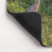Blue Heron Muismat (Hoek)