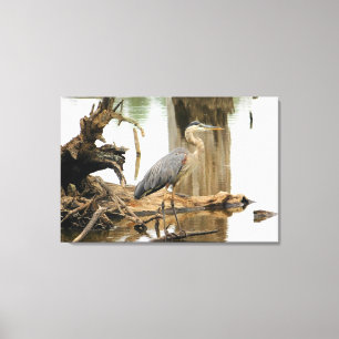 Blue Heron Natuur Canvas Afdruk