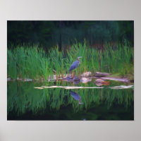 Blue Heron Natuur Photo Painting