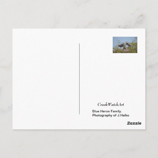 Blue Heron Nest Photo Briefkaart (Achterkant)