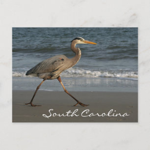 Blue Heron Ocean Beach South Carolina Briefkaart