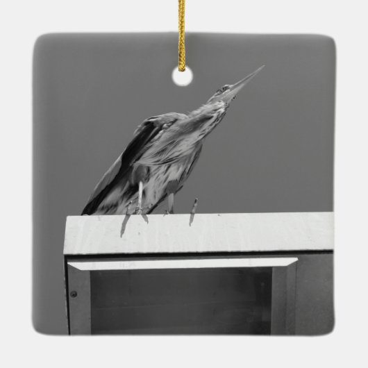 Blue Heron Ornament (Achterkant)