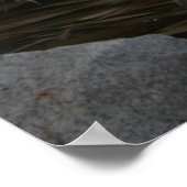 Blue Heron Poster (Hoek)