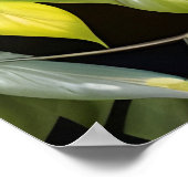 Blue Heron Poster (Hoek)