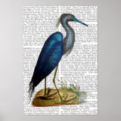 Blue Heron Poster (Voorkant)