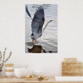 Blue Heron Poster (Keuken)