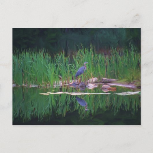 Blue Heron reflecteert Animal Painting Briefkaart (Voorkant)