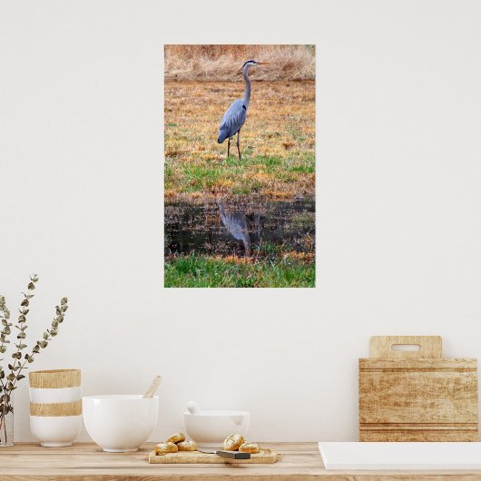 Blue Heron Reflection Poster (Keuken)