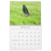 Blue Heron Series Kalender (Feb 2027)