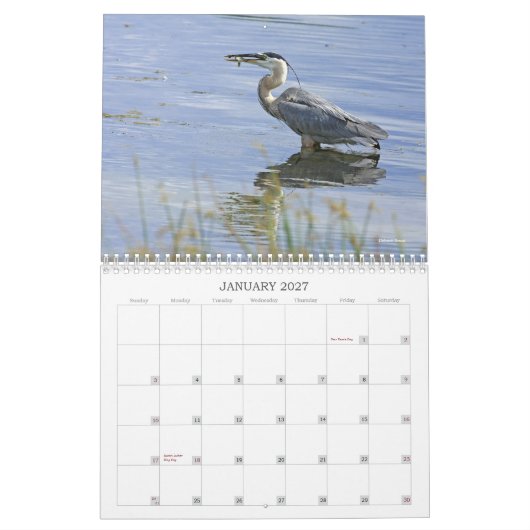 Blue Heron Series Kalender (Jan 2027)