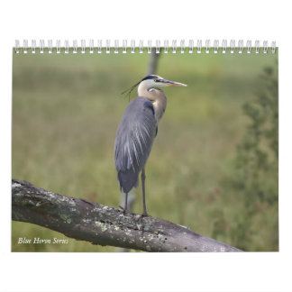 Blue Heron Series Kalender