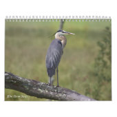 Blue Heron Series Kalender (Hoes)