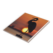 Blue Heron Silhouette Tegeltje (Zijkant)