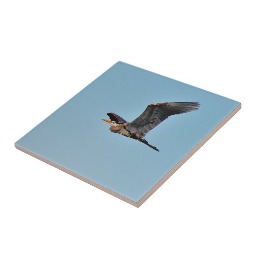 Blue Heron Tegeltje (Zijkant)