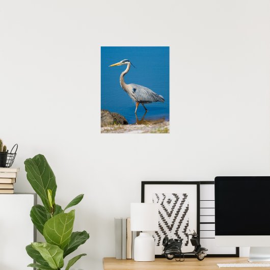 Blue Heron Wading Poster (Thuiskantoor)