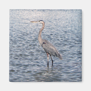 Blue Heron watermagneet Magneet