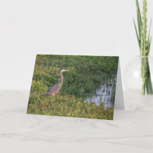Blue Heron Wenskaart Kaart
